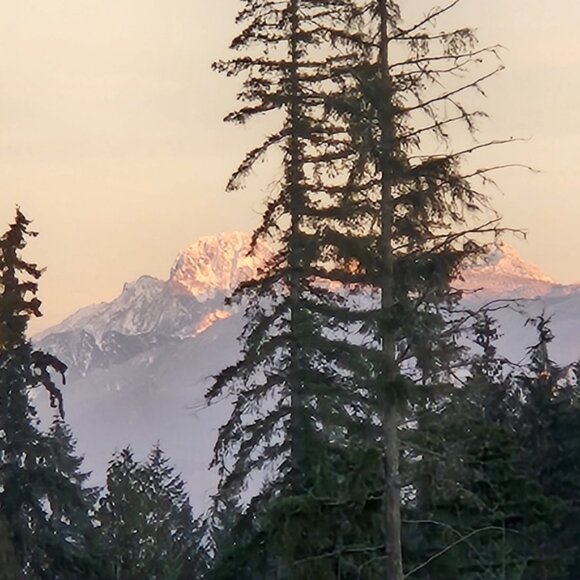 Classiques Size Large White and Pink and White Floral Rose Long Vintage Sweater - Picture 10 of 10